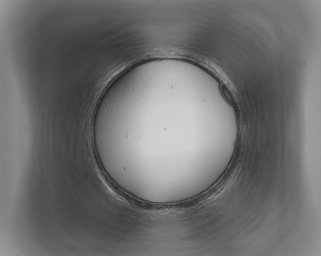 X0000111940433200907271017