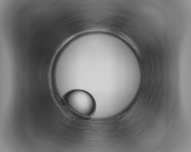X0000111940436200907271017
