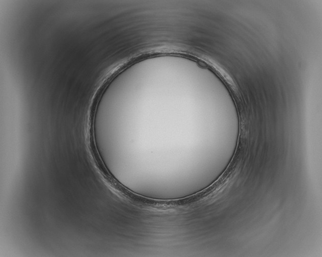 X0000111940437200907271017