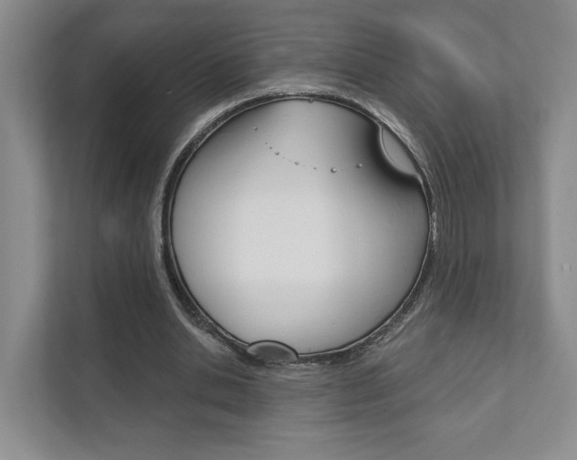 X0000111940438200907271017