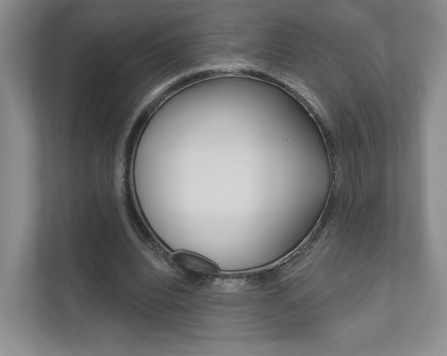 X0000111940440200907271017