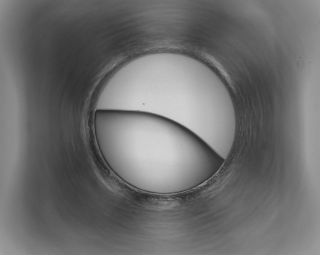 X0000111940443200907271017