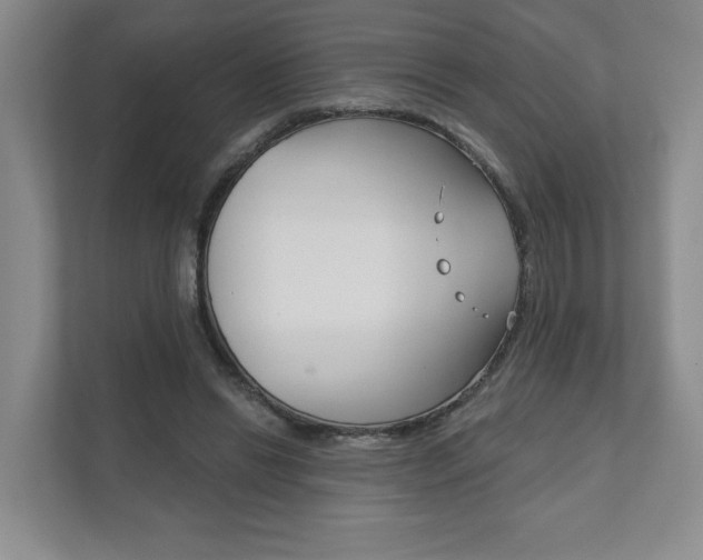 X0000111940446200907271017