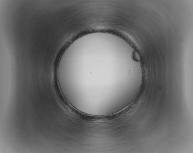 X0000111940447200907271017