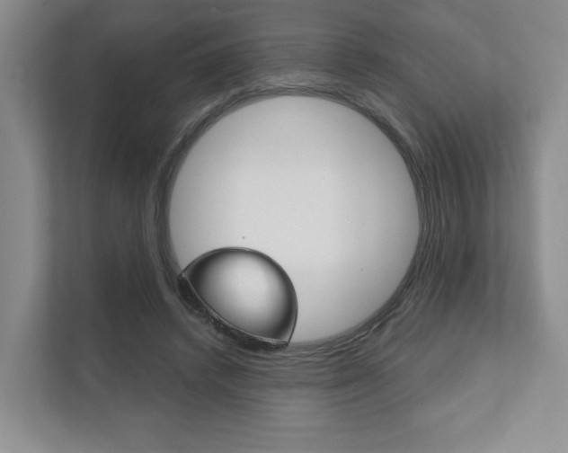 X0000111940448200907271017