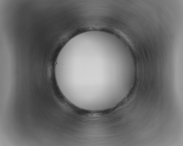X0000111940451200907271017