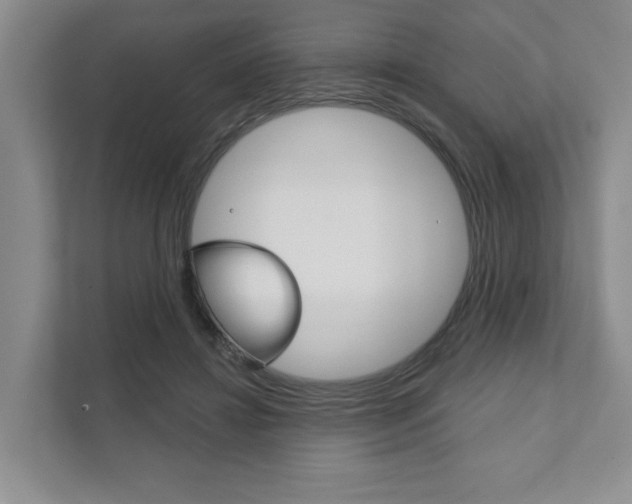 X0000111940452200907271017