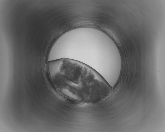 X0000111940453200907271017