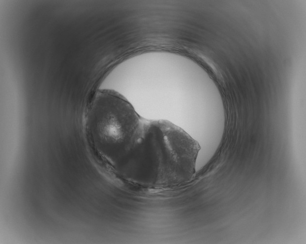 X0000111940455200907271017