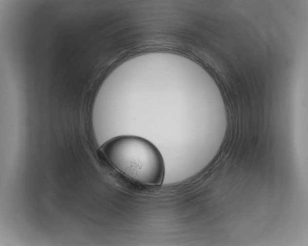X0000111940456200907271017