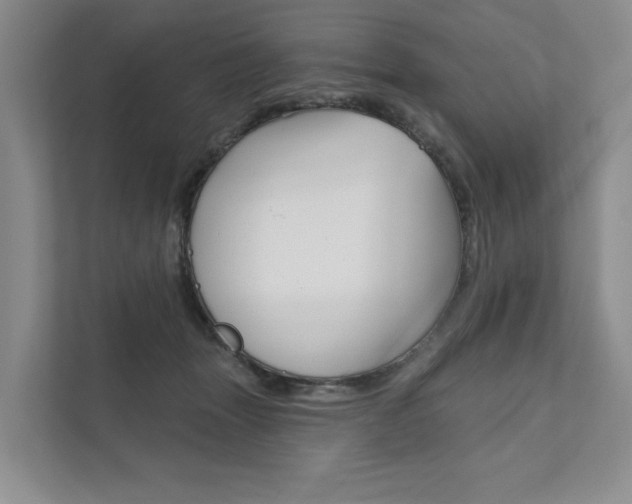 X0000111940463200907271018