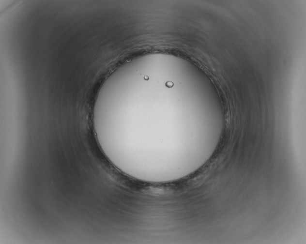 X0000111940464200907271018