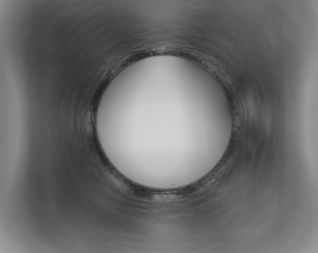 X0000111940470200907271018
