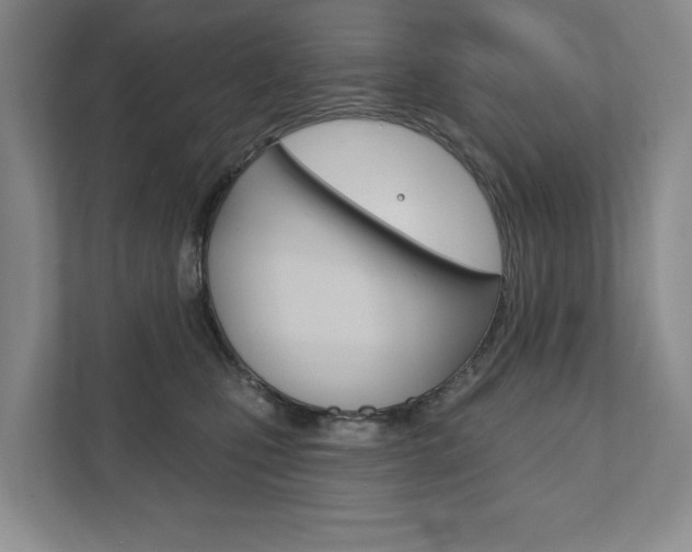 X0000111940471200907271018
