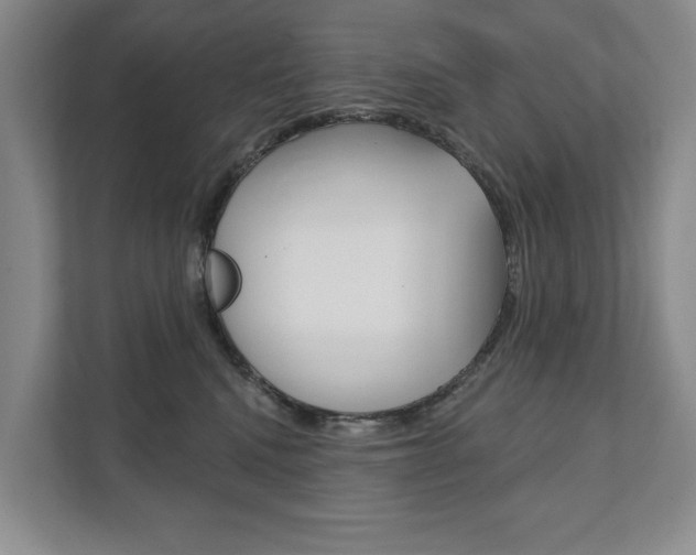 X0000111940472200907271018