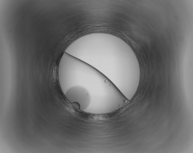 X0000111940475200907271018