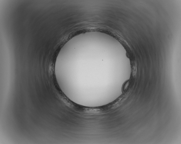X0000111940476200907271018