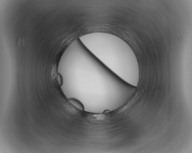 X0000111940478200907271018