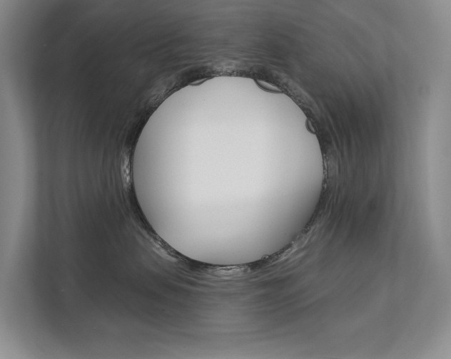 X0000111940479200907271018