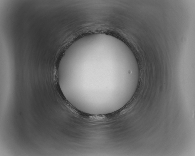 X0000111940480200907271018