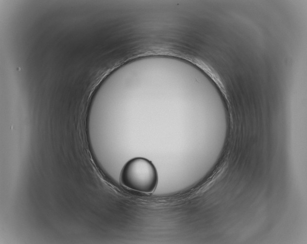 X0000111940481200907271017