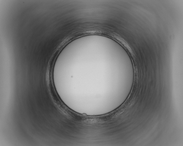 X0000111940482200907271017