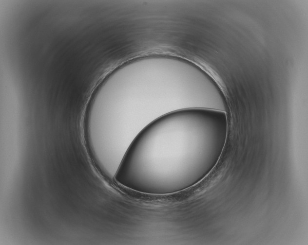 X0000111940485200907271017