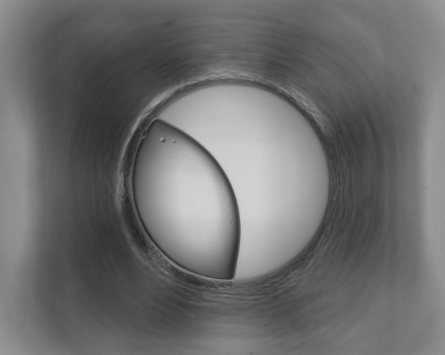 X0000111940488200907271017