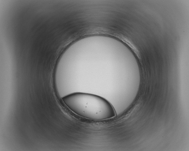X0000111940489200907271017