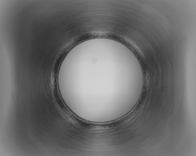 X0000111940494200907271017