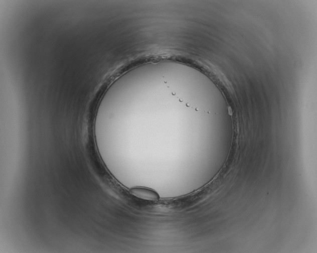 X0000111940496200907271017