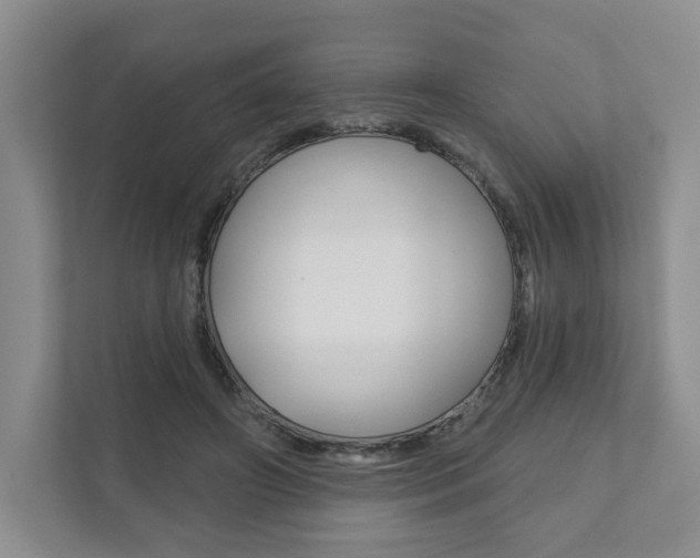 X0000111940498200907271017