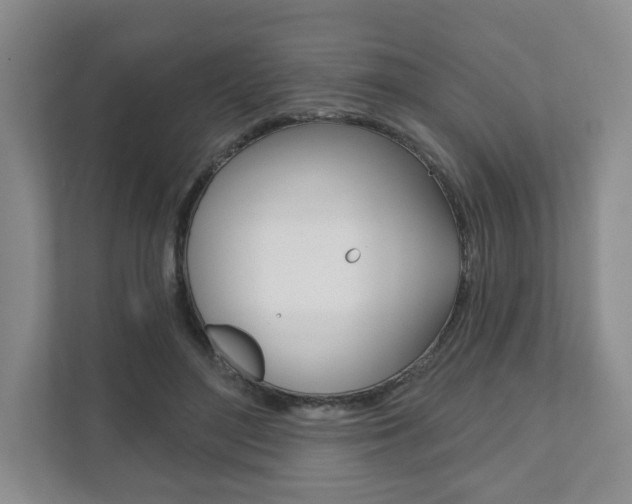 X0000111940500200907271017