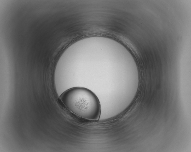 X0000111940501200907271017