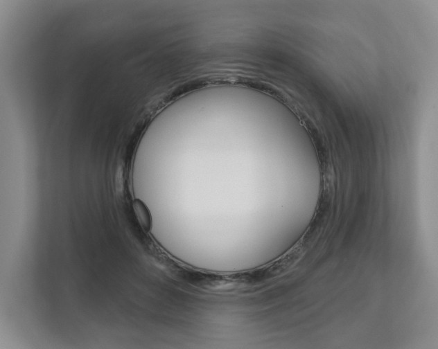X0000111940504200907271017