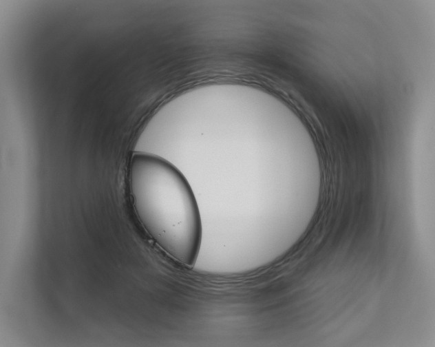 X0000111940505200907271017