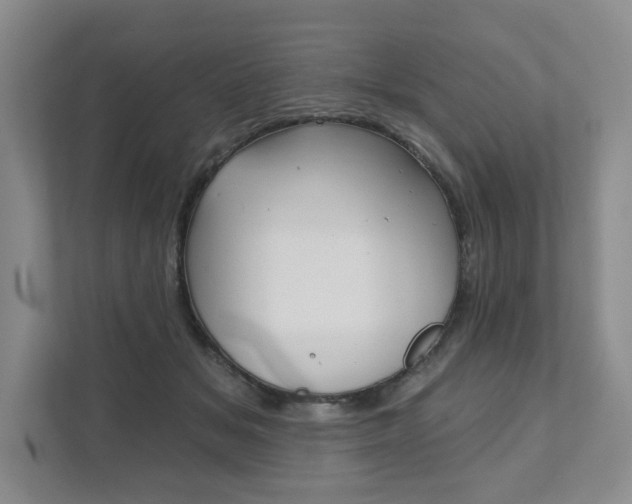 X0000111940509200907271017