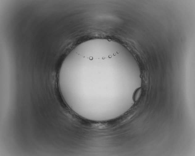 X0000111940511200907271017