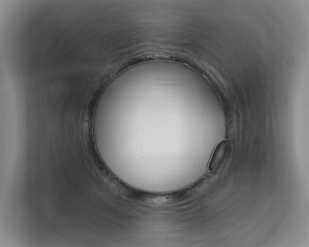 X0000111940513200907271017