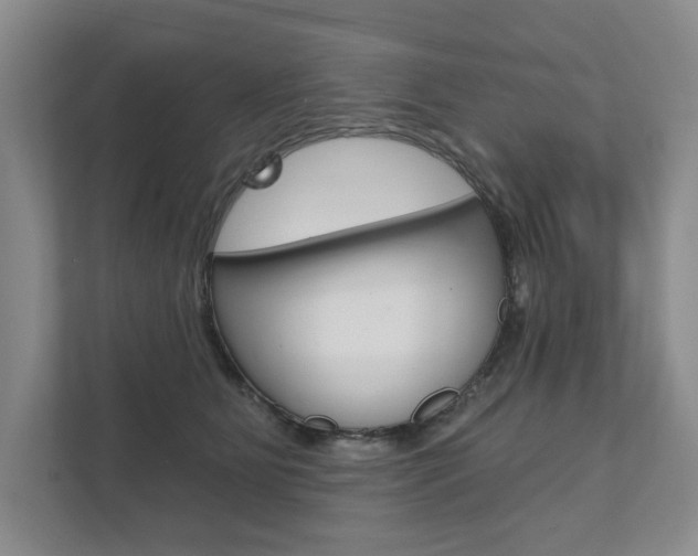 X0000111940515200907271017