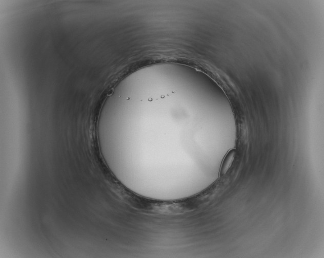 X0000111940517200907271017