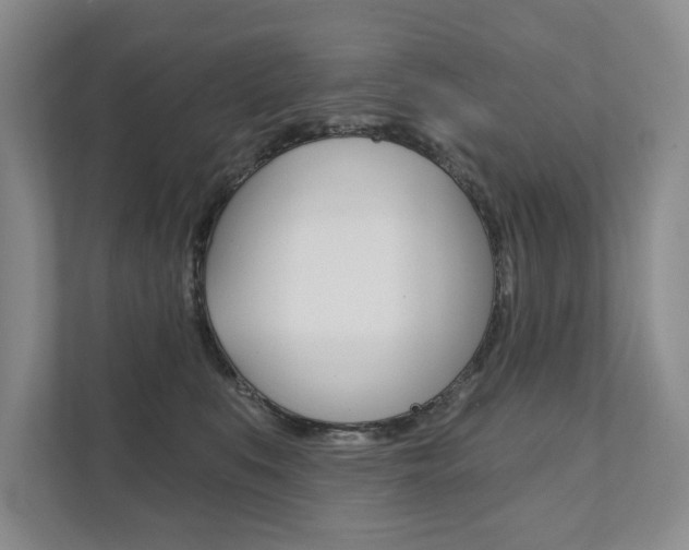 X0000111940519200907271017