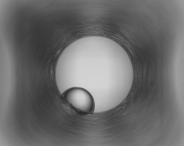 X0000111940520200907271017