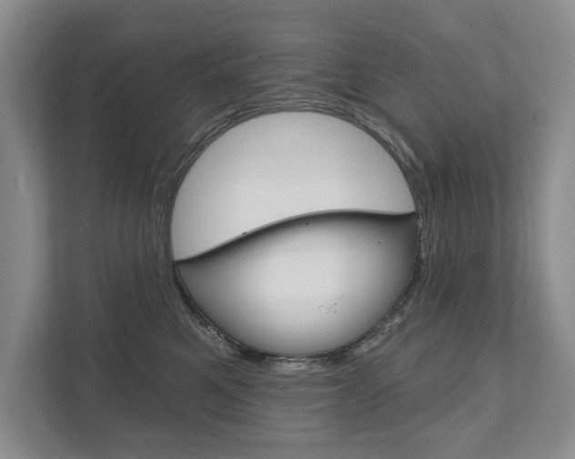 X0000111940521200907271017