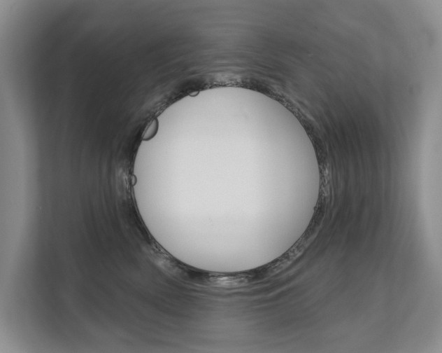 X0000111940522200907271017