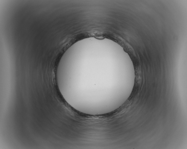 X0000111940523200907271017