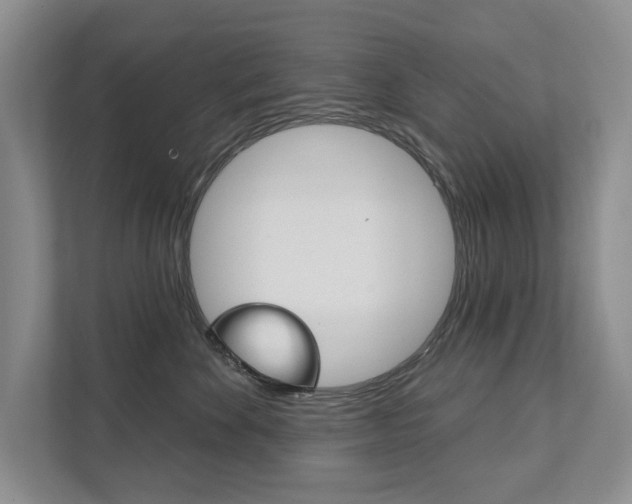X0000111940524200907271017