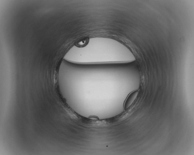 X0000111940525200907271017