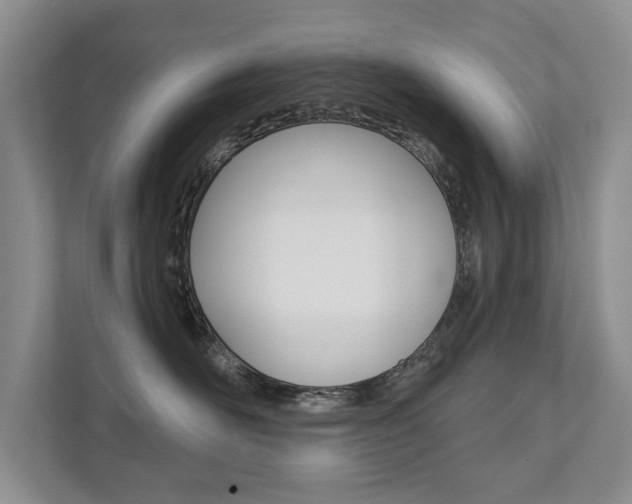 X0000111940526200907271017