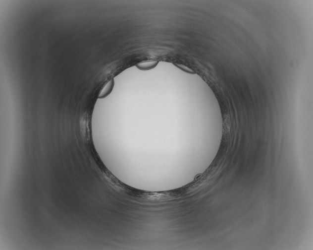X0000111940527200907271017